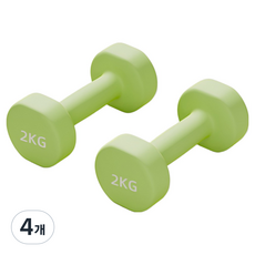 로이윙 PVC 아령 덤벨 양손 세트, 4개, 2kg