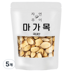 자연무이 마가목편, 300g, 5개