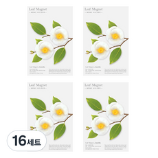 어프리 리프 마그넷 동백꽃 세트, 화이트, 16세트