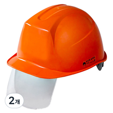 DONGMYUNG 工地頭部防護 新型護目鏡安全帽 DMS-D-3001SH, 2個