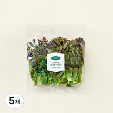 프리미엄 국내산 적상추, 120g, 5개