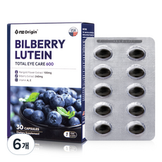 엔젯오리진 빌베리 루테인 토탈 아이케어, 30정, 6개