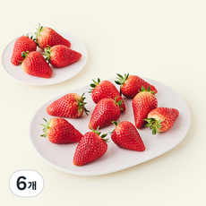 비타킹 대과, 6개, 500g