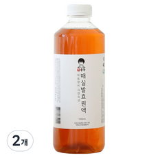 河東鄭氏 高級自然熟成梅子發酵原液, 2個, 1L