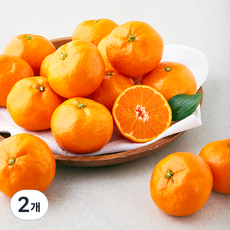 탑문주왕 당도선별 11brix 감귤 로열과, 1.5kg(로열과), 2박스