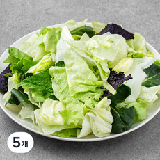 롯데푸드 믹스 5종 샐러드, 800g, 5개