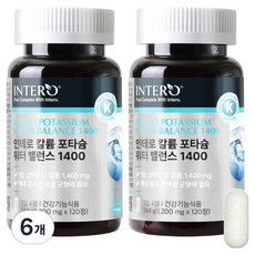 인테로 칼륨 포타슘 워터밸런스 1400, 120정, 6개