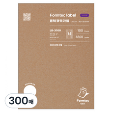 Formtec 雷射&噴墨 雷射光澤標籤, 65格, 300個