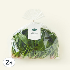 프리미엄 포항초 시금치, 250g, 2개 250g, 2개