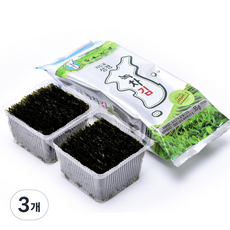 지도표성경 보성녹차 조각김, 55g, 3개