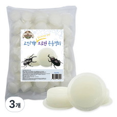 펫츠핸들러 고단백 프로틴젤리 곤충젤리 16g x 80개입 1.2Kg, 3개, 화이트