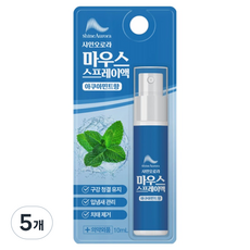 LeadersinPharm Shine Aurora 水漾薄荷香 口腔噴霧, 10ml, 5個