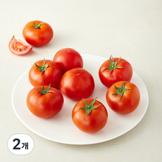 곰곰 무농약 완숙토마토, 2개, 2kg