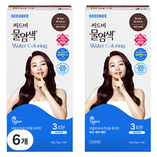 씨드비 물염색 새치 염모제 30g, 와인브라운, 6개