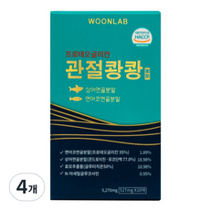 프로테오그리칸 관절쾅쾅, 5.27g, 4개