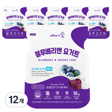 내아이애 동결건조 요거트 큐브 간식, 16g, 12개, 블루베리 + 요거트 혼합맛