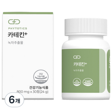 피토틱스 카테킨+, 30정, 6개