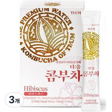 티움 콤부차 히비스커스, 02.티움 콤부차_히비스커스 20T, 5g, 3개, 20개입