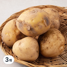 국내산 햇 감자, 500g, 3개