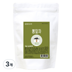 아이앤티 뽕잎차 텀블러용, 3개, 100개입, 1.2g