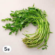 친환경 한재 미나리, 200g, 5봉