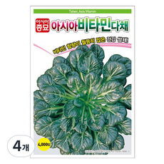 아시아종묘 비타민 다채 씨앗 4000p, 4개