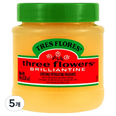 쓰리플라워즈 트레 플로레스 브릴리언틴 솔리드 포마드 헤어왁스, 5개, 99g