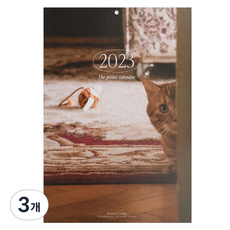 Dailylike 2023海報日曆, 混色, 3個