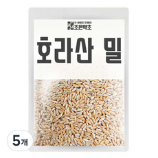 조은약초 호라산 밀, 1kg, 5개