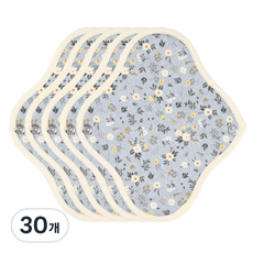 위즐리 면생리대 들꽃블루, 미니, 1개입, 30개