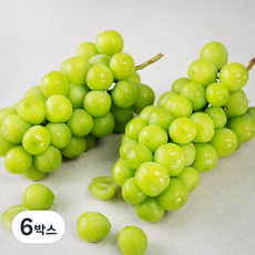 산지직송 아주마 비파괴 당도선별 영동 상주산 샤인머스켓, 1.5kg, 6박스
