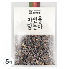 조은약초 통 메밀, 600g, 1개입, 5개
