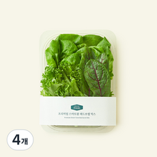 프리미엄 스마트팜 레드쏘렐 믹스, 100g, 4개, 1개입