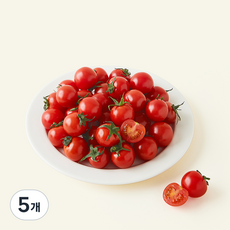 제이드가든 요요 방울토마토, 5개, 500g