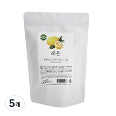 리얼홈즈 동결건조 레몬, 20g, 1개입, 5개