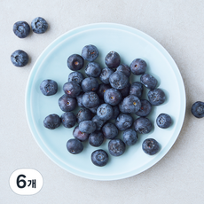 칠레산 당당 블루베리, 6개, 250g