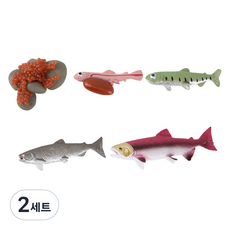 캐스비 네이처 성장 과정 연어 피규어 세트, 2세트
