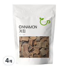 그린팟 사각 계피, 500g, 4개