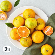 제이드가든 당도선별 10brix 감귤, 800g, 3개