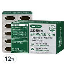 JW중외제약 프로폴리스 플라보노이드 40mg, 60정, 12개