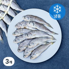 영광법성포 실속형 굴비 20미 (냉동), 3개, 800g