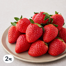 다미팜 한단 금실딸기 대과, 500g, 2팩