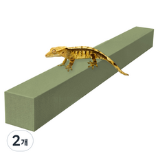 레몽크리프 도마뱀 파충류 크레스티드게코 EVA 고밀도백업 3 x 3 x 50 cm, 올리브, 2개