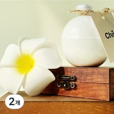 ChiU 고보습 스노우볼 배쓰밤, 150g, 2개