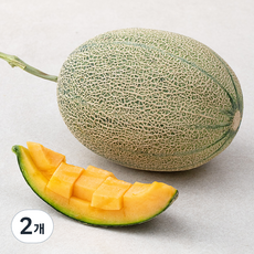좋은하루 저탄소 인증 후숙해서 드리는 진천 칸탈로프메론, 1.6kg, 2개