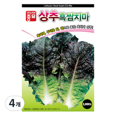 아시아종묘 상추 흑쌈치마 씨앗 3000p, 4개