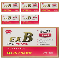 good Life 得意人生 立多士 佳傌倍斯 糖衣錠, 30顆, 6盒