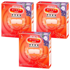 Kao 花王 MegRhythm 美舒律蒸氣眼罩 檜木香, 3個, 5個裝