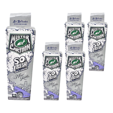 Turtle Wax 美國龜牌 卡通先生 車內清新除臭噴霧 新車香味 54226, 5個, 57g