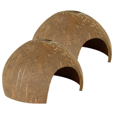 白鯨記 椰子殼隱蔽處, 2個